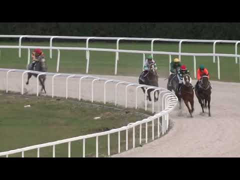 2022.10.02. 07. futam - BÁRÓ WESSELÉNYI MIKLÓS EMLÉKVERSENY (Elit kat.) (szintetikus pálya)