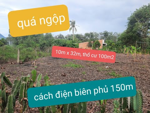 * ĐẤT ĐƯỜNG ĐIỆN BIÊN PHỦ 100m ! * Kp Ninh Phúc, P. Ninh Thạnh, TP Tây Ninh