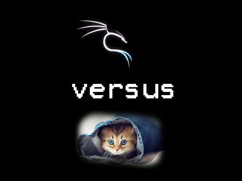 theannoyingsite vs Kali Linux