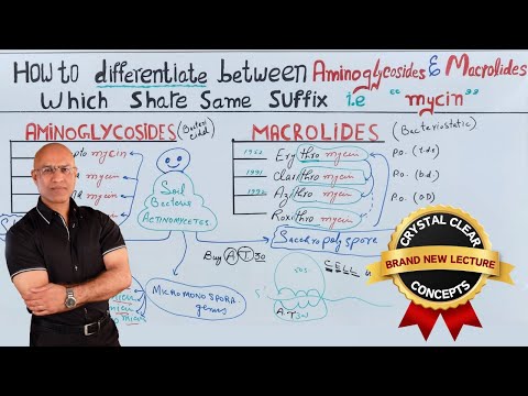 Aminoglycosides vs Macrolides | Antibiotics | Pharmacology