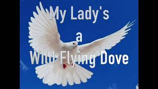 My Lady’s a Wild Flying Dove