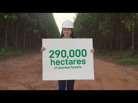 Eldorado Brasil | Efficient and Sustainable