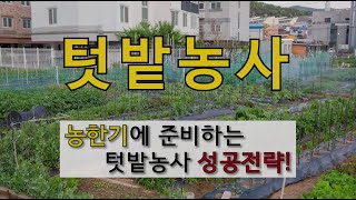 텃밭농사 농한기에 준비하는 텃밭농사 성공전략! #주말농장 #텃밭 잘 가꾸는 방법