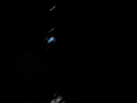 Taylor madison monroe