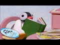 Pinga Reads A Green Book Pingu Cartoon For Kids