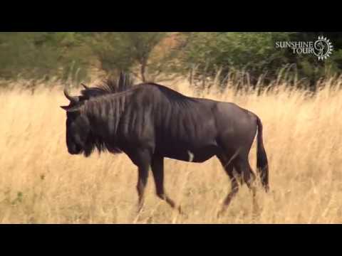 The 2018 Vodacom Origins of Golf series starts this week at Zebula.