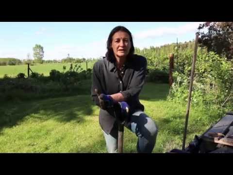 Using bokashi in the garden (in Swedish)