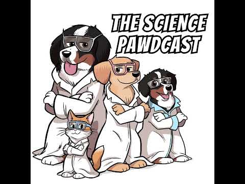 Episode 9 Season 7: Shingles, Dog Context, and The Immune System with Dr. Mohseni
