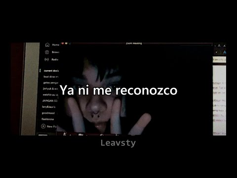 2starhokuu - conexión virtual (letra)