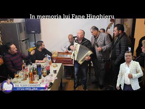 Mircea Vijelie  -  Sa- l intreb pe dumnezeu -  In memoria lui Fane Hinghieru