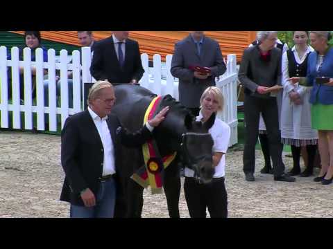 Sir Sansibar | Trakehner Siegerhengst |  Millenium x Cadeau | 2014