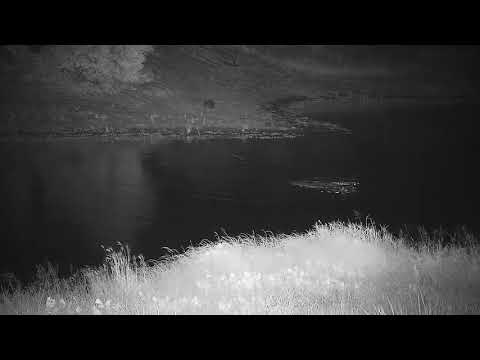 Djuma: Two Hippos arrive at the dam together - 23:20 - 01/21/22