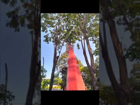 Video tổng hợp 2