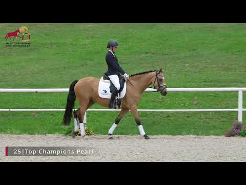 KN 25 Top Champions Pearl *2020 Stute v. Top Champion - Top King