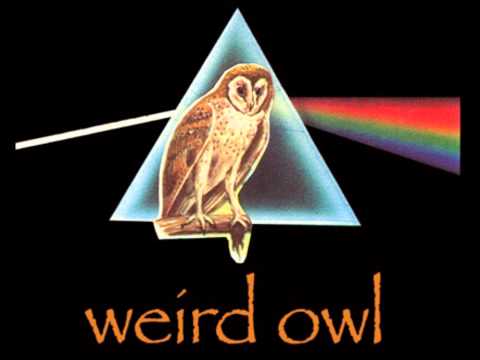 Weird Owl - Build Your Beast a Fire Pt.1