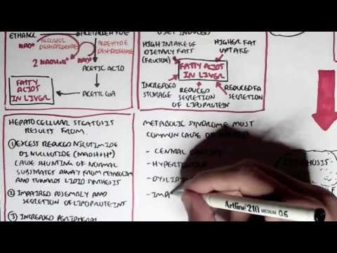 Cancer Introduction I