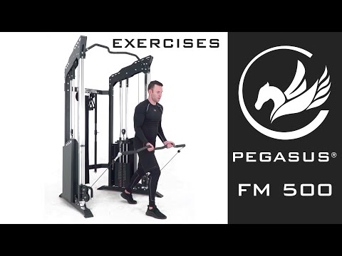 Pegasus FM500 Functional Trainer Exercises