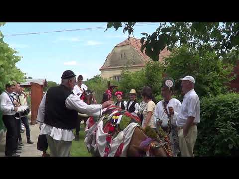 BOUL CU SANZIENE Toparcea 2019  alai  pe ulitele satului