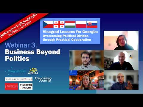 Visegrad Lessons for Georgia — Part 3: Business Beyond Politics