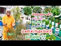 Health benefits of rare medicinal plants || grow on terrace garden || Dr.Khader Vali Health benefits of rare medicinal plants || grow on terrace garden || Dr.Khader Vali