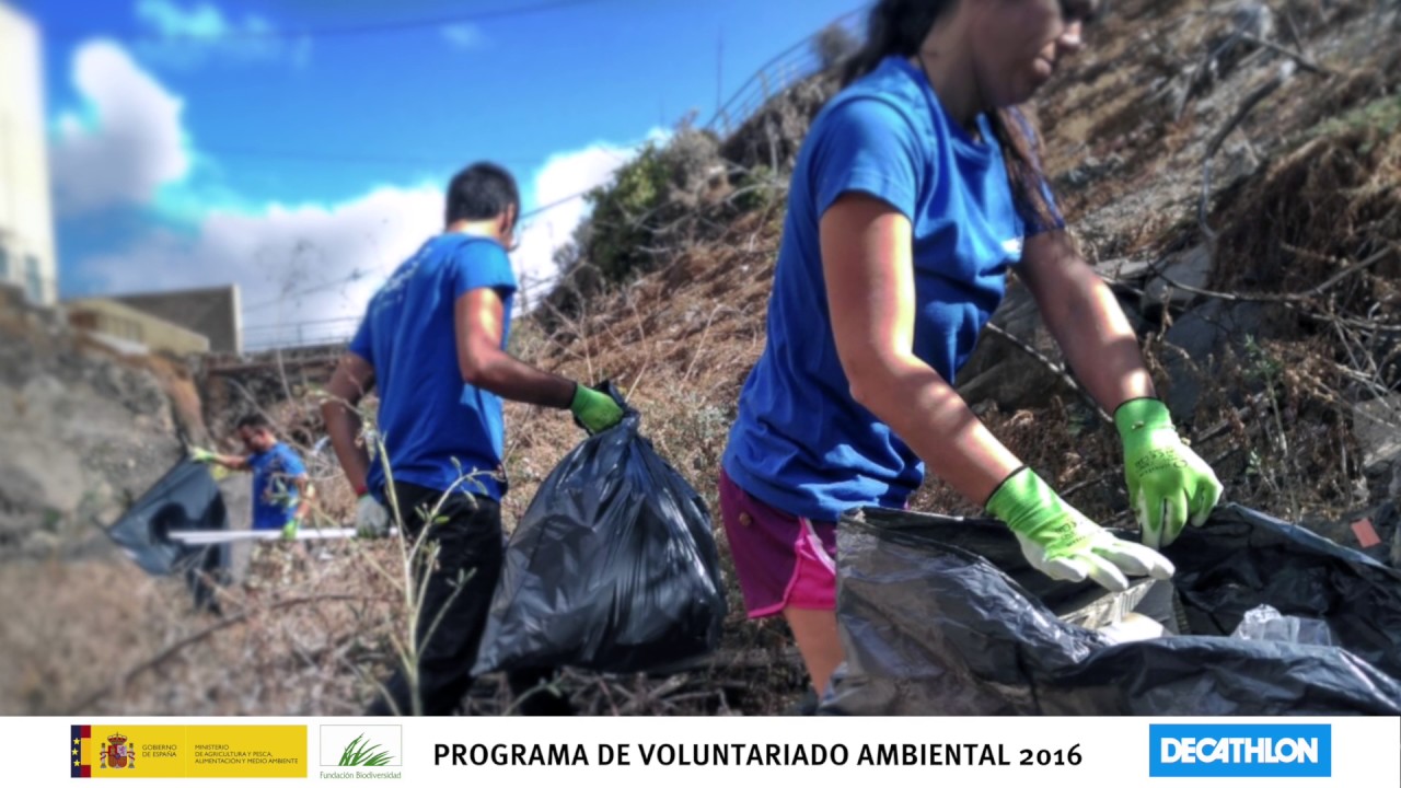 Programa de Voluntariado Ambiental de la Fundación Biodiversidad y Decathlon
