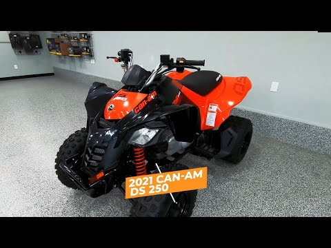 Can-Am DS 250