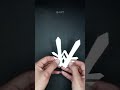 SnowFlake Flower Cuttings #shorts #ytshorts