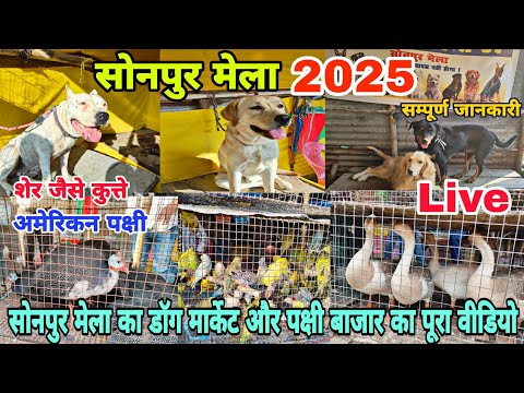 Sonpur Mela 2025 Dog & Bird Market Full Video | Sonpur Mela 2025 | Sonpur Mela 2025 live