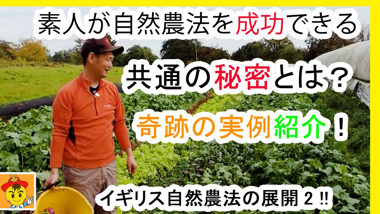 素人が自然農法で成功できる理由
