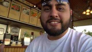 Wasabi Isn't So Bad, I Guess... (VLOG-14)