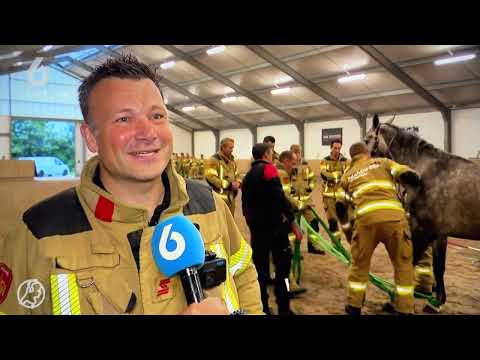 - VOLUNTEERS DUTCH FIREFIGHTERS - Op de Nederlandse Televisie (met diverse vertalingen)
