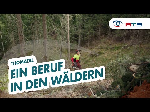 Forstarbeit auf schwierigem Terrain: Wir blicken Benedikt Mörtl aus Thomatal über die Schulter