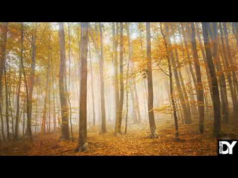 Aman Agajykow - Suyji arzuwlar | Didar Yomudov