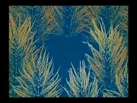 Pohádky z mechu a kapradí - Jak si křemílek a vochomůrka ani nelízli povidel