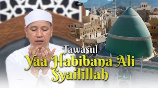Download lagu New ‼️ Ya Habibana Ali Syailillah - Majelis Ar Raudhah | Lirik & Terjemah mp3