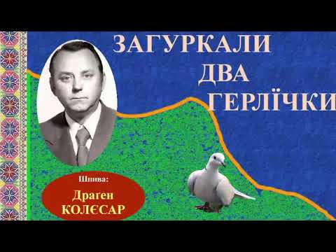 ZAHURKALI DVA HERLJIČKI - Dragen KOLJESAR