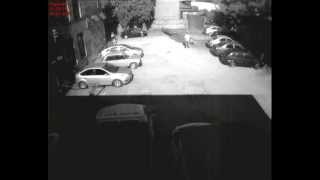 preview picture of video 'Падение дерева на парковке'