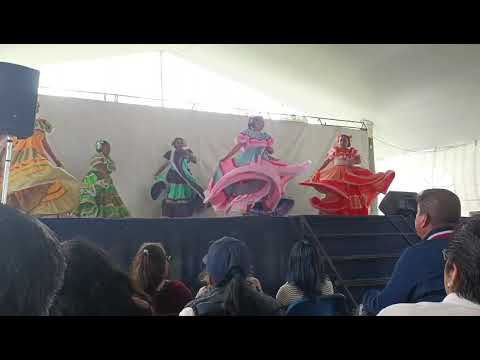 TAC Toro Mambo Capilla Del Carmen 12 julio 26 