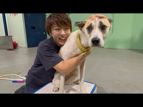 I can never forgive this, ...