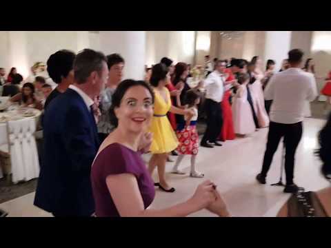 Nunta la Pitesti cu formatia MODERN - tel : 0741068162 / 0766751805