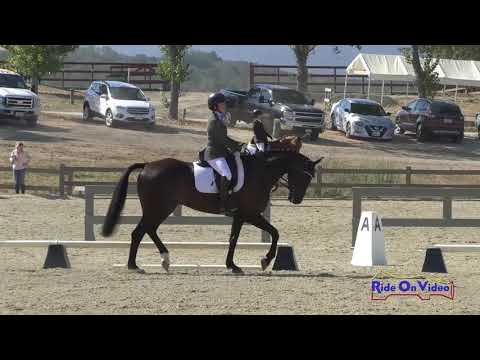 122D Erin Kellerhouse on Sir Elijah Craig Open Novice Dressage Woodside August 2018