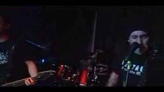 "Fireflies," live by Chestefield