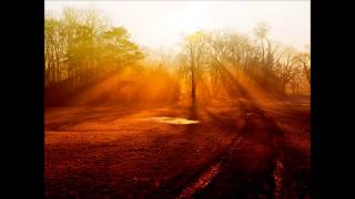 Bob Dylan with Mick Taylor, live from Paris 1984. &quot; Every grain of sand &quot;