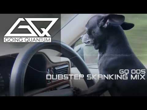 Dubstep Skanking Mix ★ January 2011