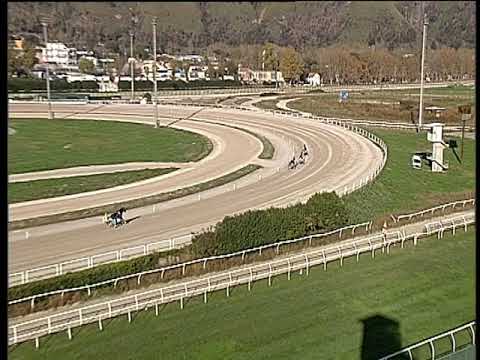 Trotto 09/11/2018 - prova di qualifica