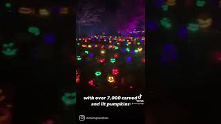 The Magic of the Jack O Lantern Pumpkin Festival in Littleton Colorado
