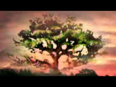 2011-05-02 - Greak Oak Tree (To Trisomie 21 - West Wind)