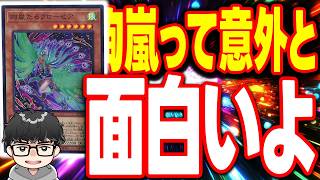 【遊戯王】『絢嵐は実力が出るデッキ』＆『最近買ってよかったもの』【シーアーチャー切り抜き/遊戯王/マスターデュエル】