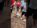Homepage 1 Video thumbnail