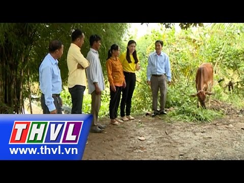 THVL l Khởi đầu cơ nghiệp – Kỳ 138: Xã Tân Hưng - Bình Tân, Xã Phú Đức - Long Hồ